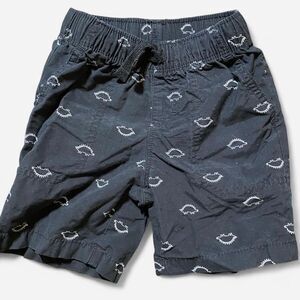 Unbranded Shorts